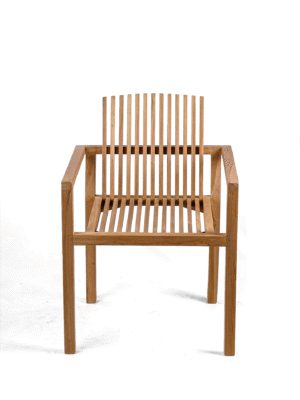 Gryphos Chair