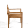 Gryphos Chair