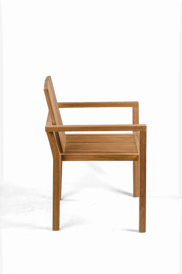 Gryphos Chair