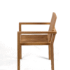 Gryphos Chair