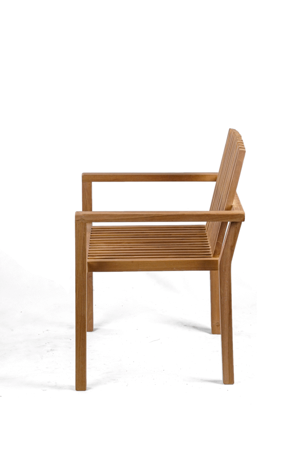 Gryphos Chair