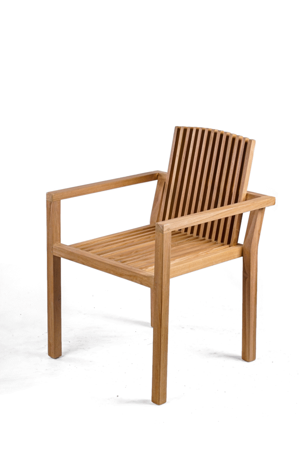 Gryphos Chair